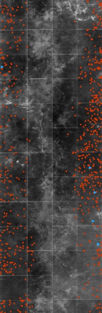 Investigadoras desarrollaron un método con el que identificaron más de 5000 nuevas galaxias